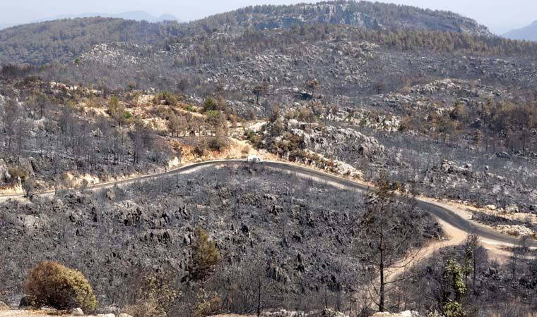 'Yerleşim yerleri ve ormanın çevresine yangına dayanıklı ağaçlar dikilmeli'