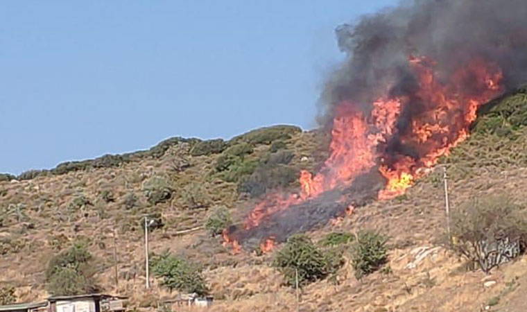 Muğla Datça'da orman yangınında yeni gelişme