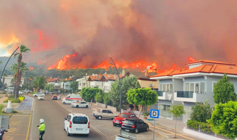 Muğla'da 66 bin hektar orman yandı