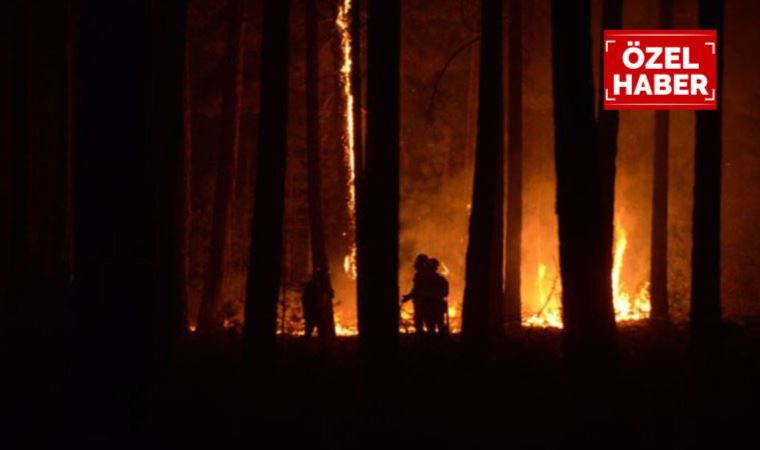 MÜCADELEDEKİ GÖNÜLLÜLER