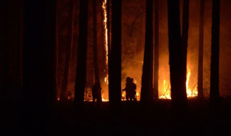 Yangının devam ettiği Köyceğiz'de neler yaşandı? Yangınla mücadeledeki gönüllüler