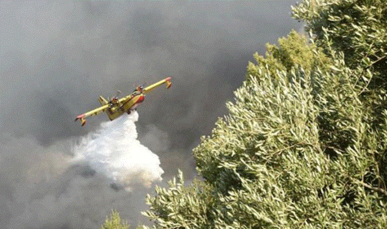 Türkiye, Yunanistan’daki yangınlar için uçak gönderiyor