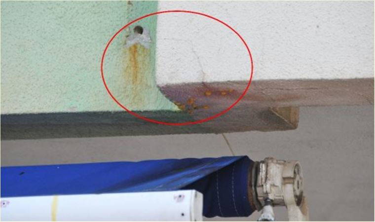 Duvardan akan sarı su ölümü ortaya çıkardı