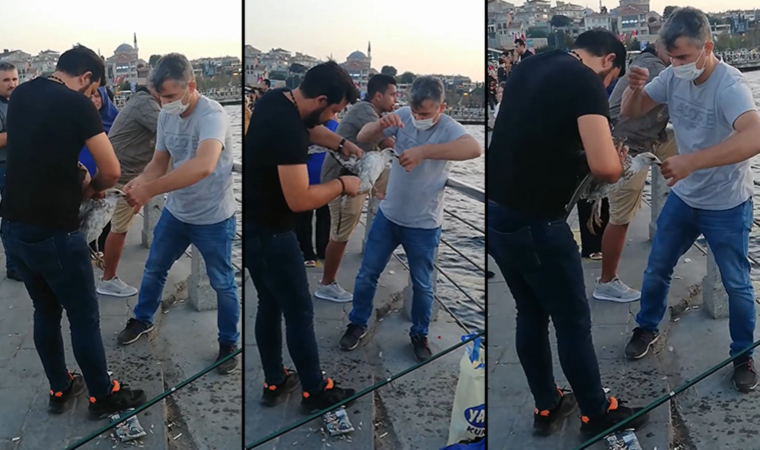 Üsküdar’da balıkçı oltasına dolanan martıyı yurttaşlar kurtardı