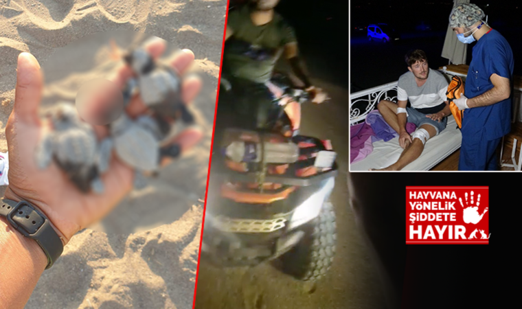 ATV'ler yuvalama alanına daldı! 16 caretta caretta yavrusu öldü