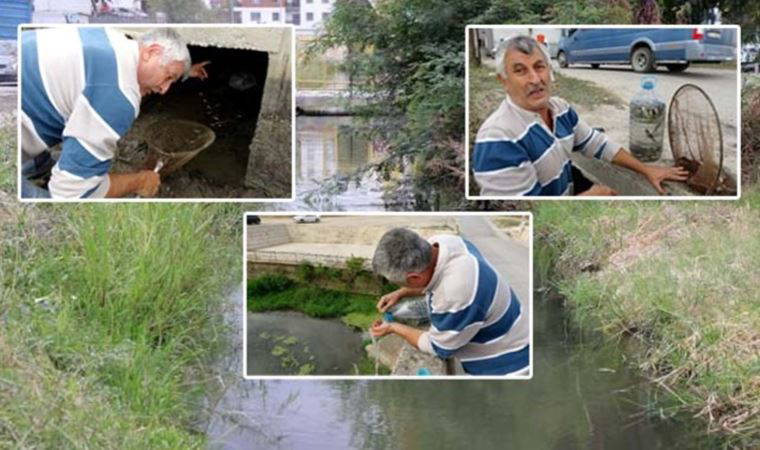 Kuruyan kanaldaki balıkları pet şişelerle nehre taşıdı