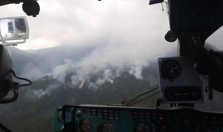 Manavgat'taki yangında 4 hektar orman zarar gördü