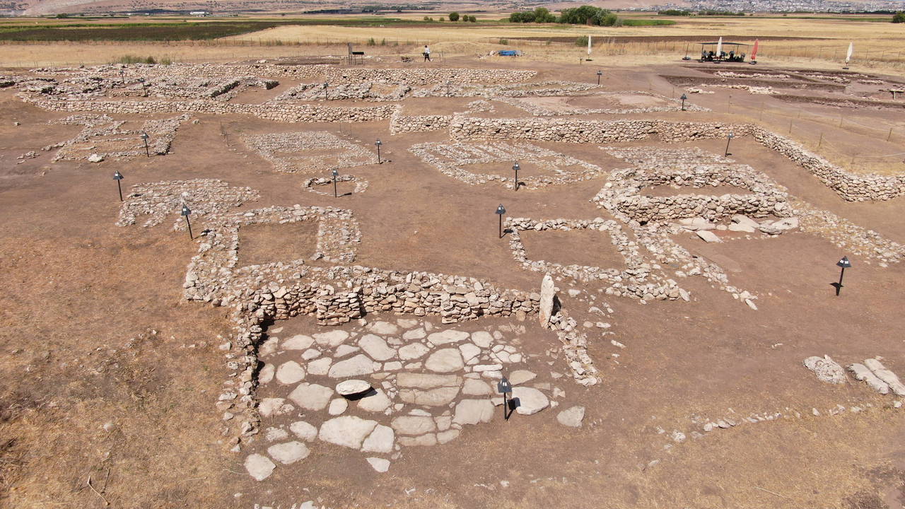 Çayönü Höyüğü'nde 5 bin yıllık sandık mezar bulundu