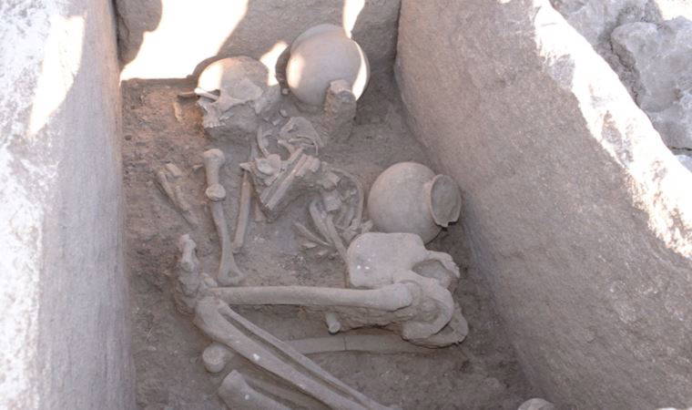 Çayönü Höyüğü'nde 5 bin yıllık sandık mezar bulundu