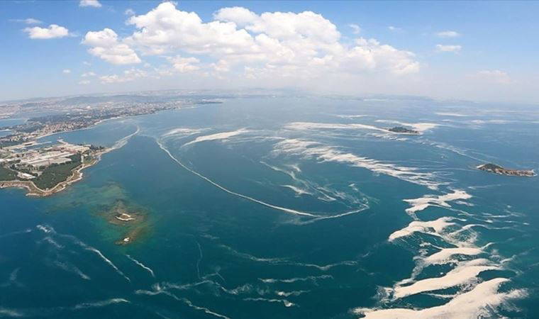 Marmara Denizi'nde müsilajın ardından yeni tehlike: 