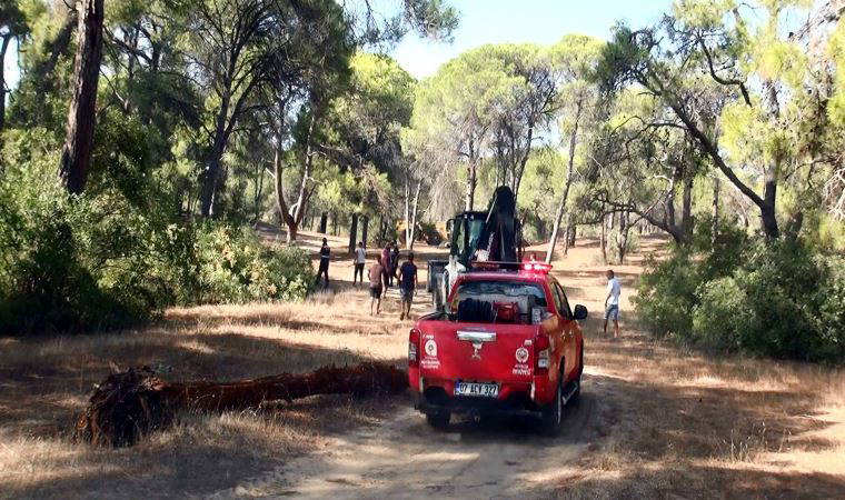 Manavgat'ta ormanı yakmaya çalışırken yakalandı