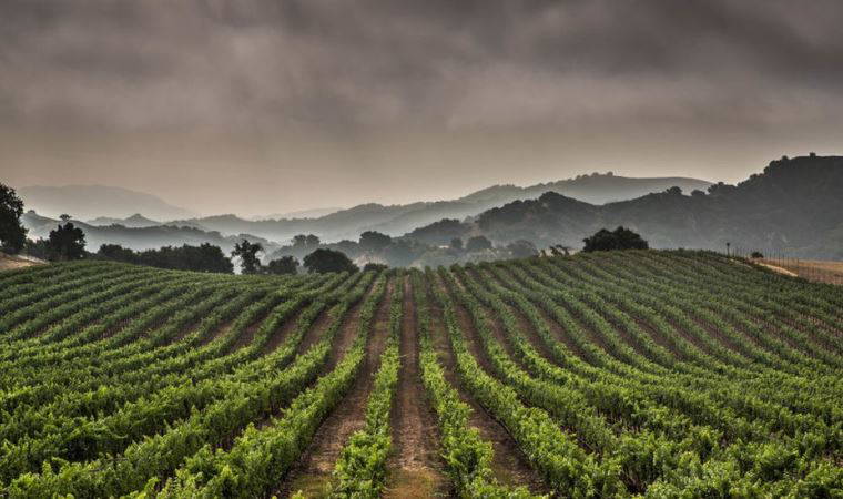 İklim sözlüğü: Krizi ve çözüm önerilerini anlamak için bilmeniz gereken 15 kavram