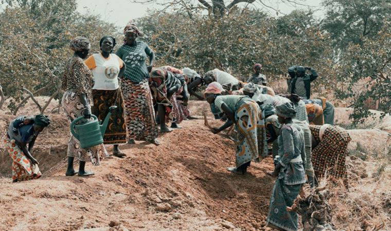 İklim krizinin çarpıcı etkisi: Milyonlarca kişiyi köleliğe zorluyor