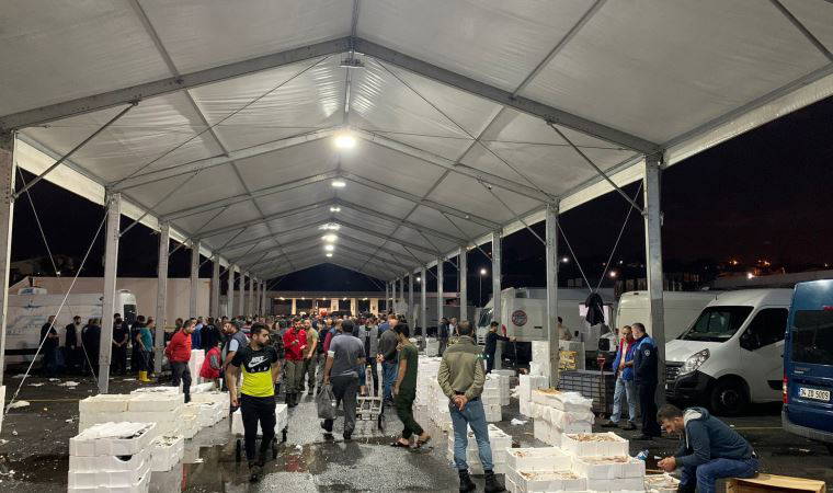 Beylikdüzü'nde 17 ton küçük boyda istavrite el konuldu