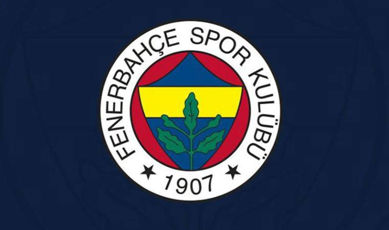 Fenerbahçe'de Serdar Dursun, takımla çalışmalara başladı