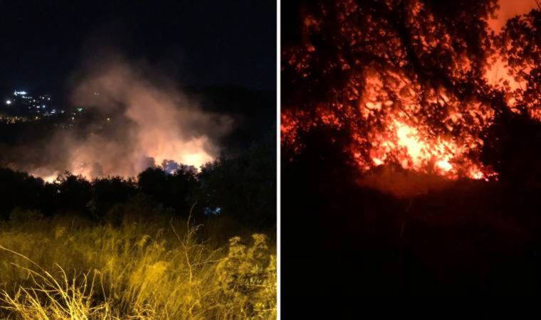 Bodrum'da makilik alanda çıkan yangın, tarım arazilerine sıçradı!