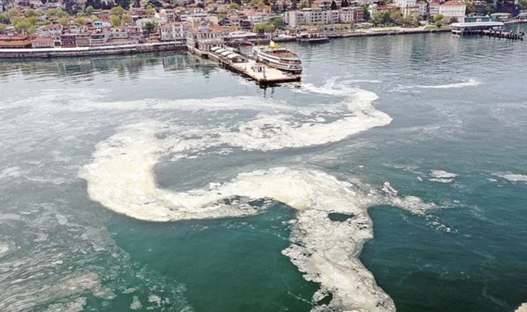 Denizlerde müsilajın ilkbaharda tekrarlayabileceği uyarısı