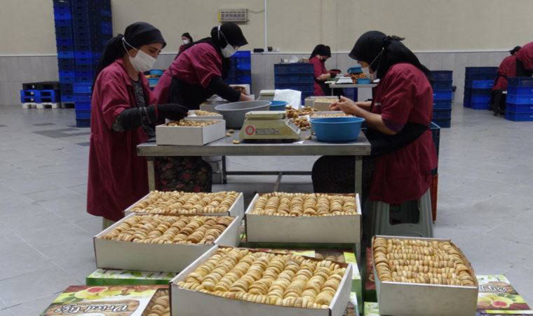 Aydın'da kuraklık kuru inciri de vurdu, kilo fiyatı 100 liraya çıktı