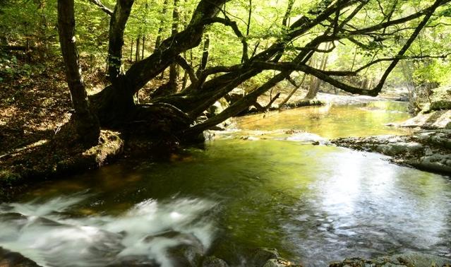 İstanbul'a yakın hafta sonu gidebileceğiniz 10 tatil rotası