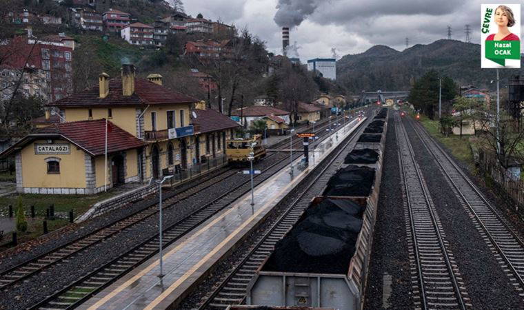 Greenpeace’in raporuna göre kömür, Zonguldak için sürdürülebilir değil
