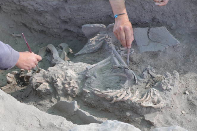 '5 bin yıl önce, insanlar en fazla 40’lı yaşlara kadar hayatta kalabiliyorlardı'