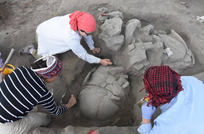 '5 bin yıl önce, insanlar en fazla 40’lı yaşlara kadar hayatta kalabiliyorlardı'