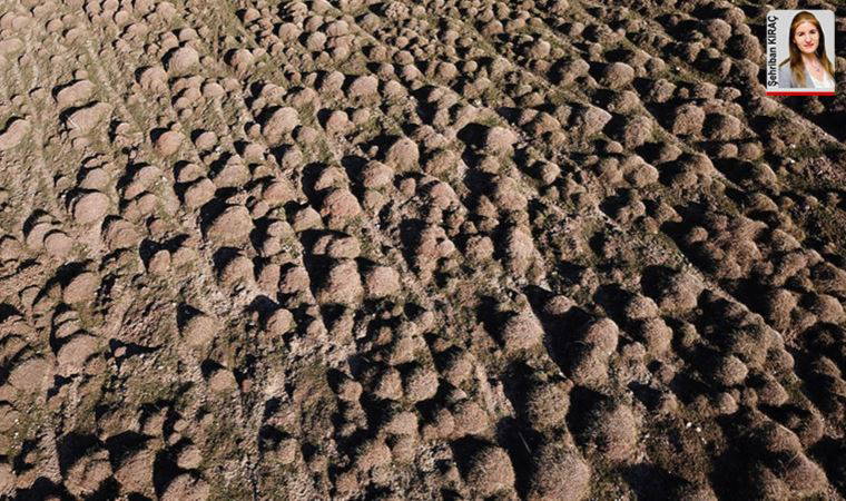 Türkiye'de tarım toprağının yüzde 88’i sağlıksız