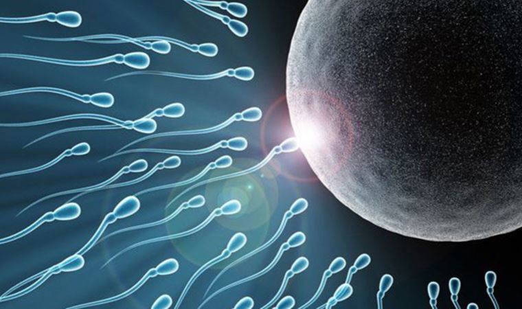 Araştırmada ortaya çıktı: Koronavirüs aşısı erkeklerde sperm sayısını nasıl etkiliyor?