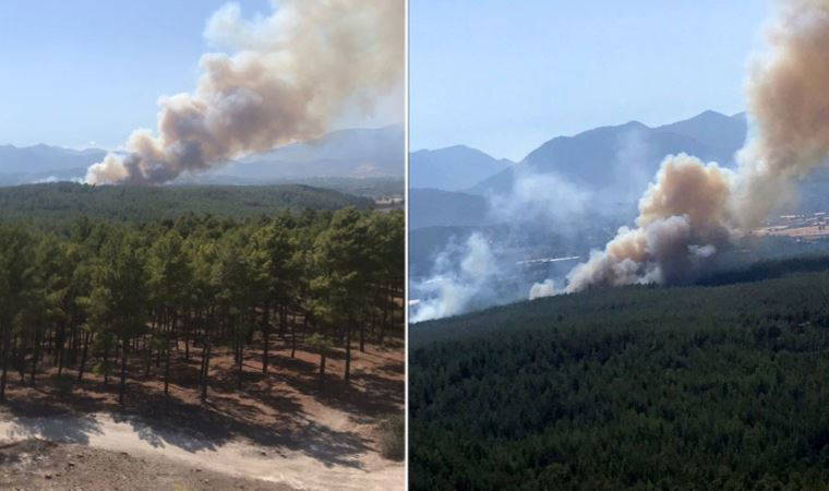 Antalya Kaş'ta 3 farklı noktada orman yangını