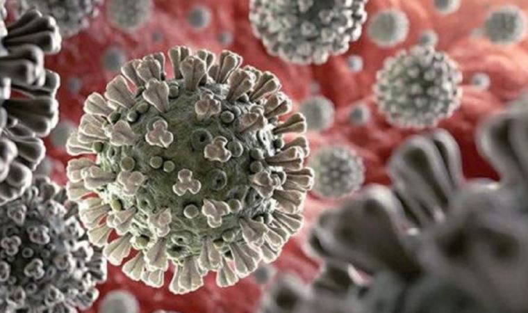 Covid-19 ve grip birleşti: 'Flurona' kabusu büyüyor!