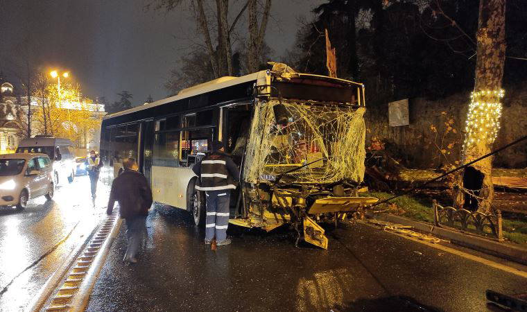 Beşiktaş'ta İETT otobüsü asırlık çınar ağacına çarptı