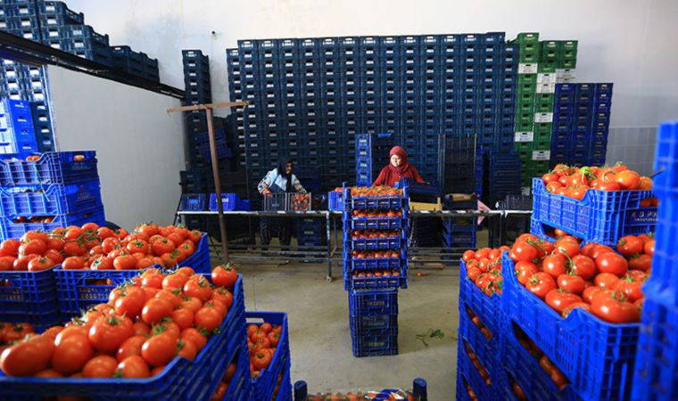 CHP'li belediye borçlu hal esnafına kefil oldu, sorun çözüldü