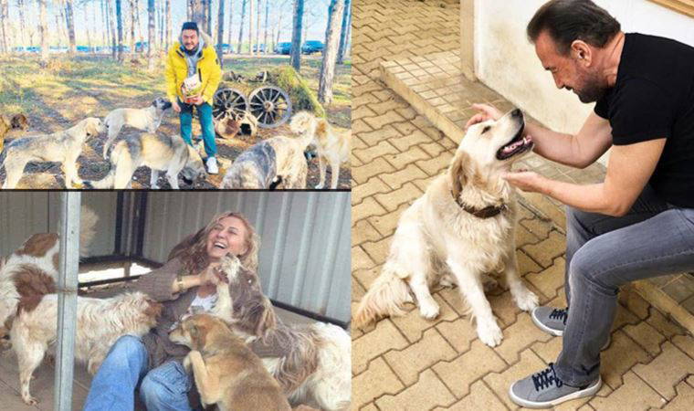 Ünlülerden sokak hayvanlarına mama projesi