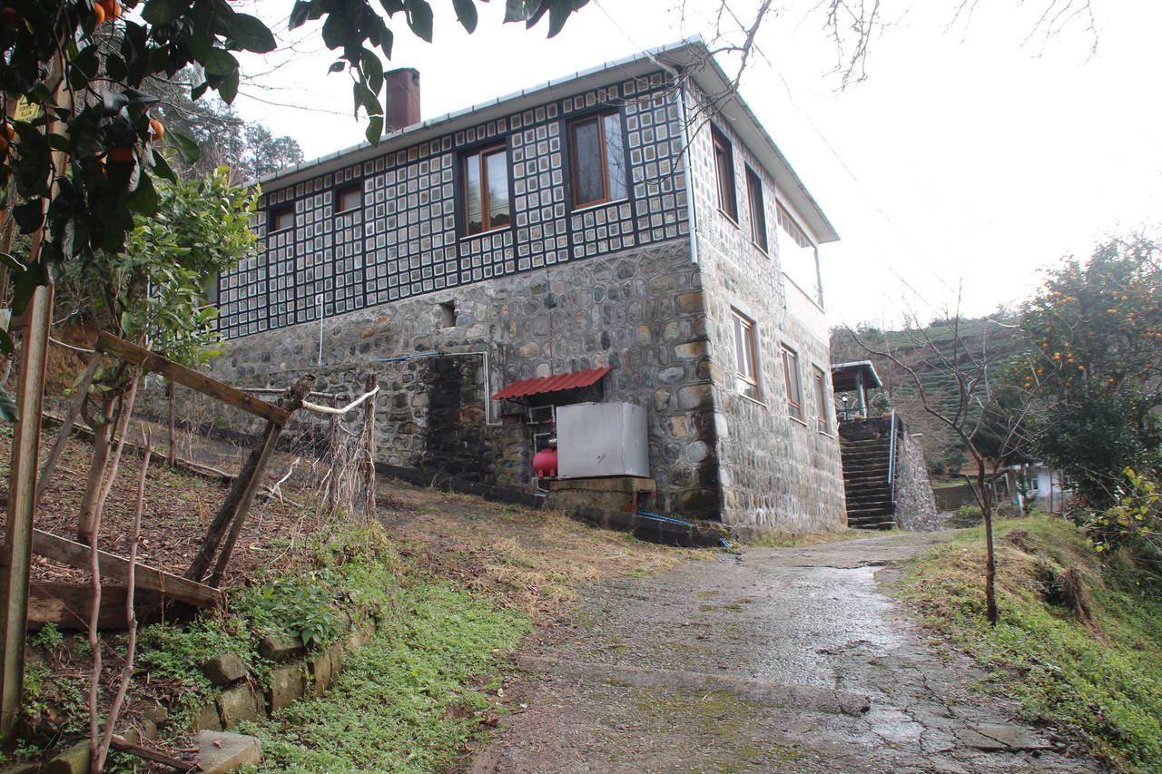 Ece Erken'in büyük acısı: 'Keşke ben ölseydim'