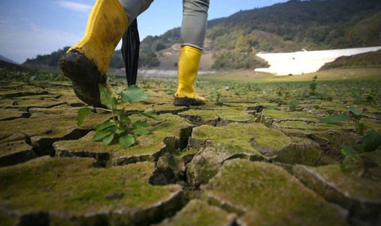 Çevre Bakanlığı sorumluluk almadı