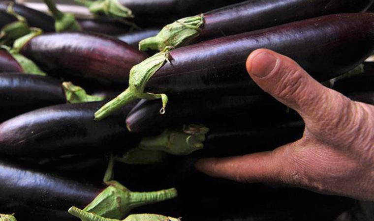 Patlıcan zam şampiyonu oldu