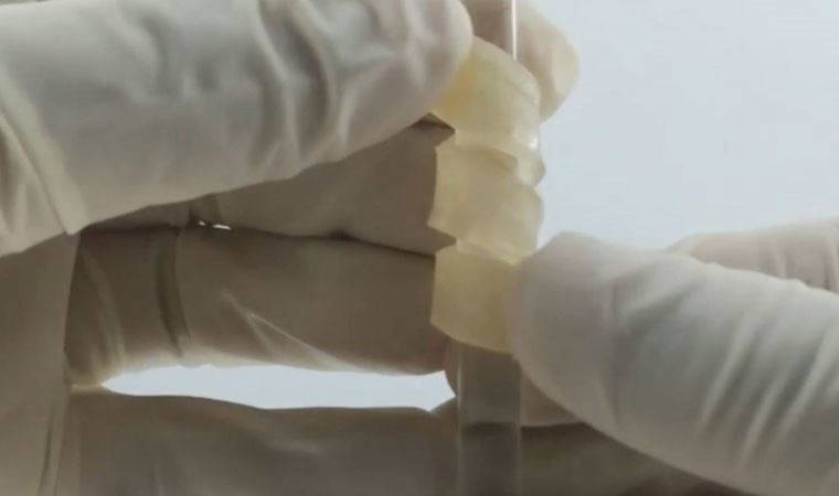 Bilim insanları esnek, ateşe dayanıklı ve küf korumalı ahşap geliştirdi