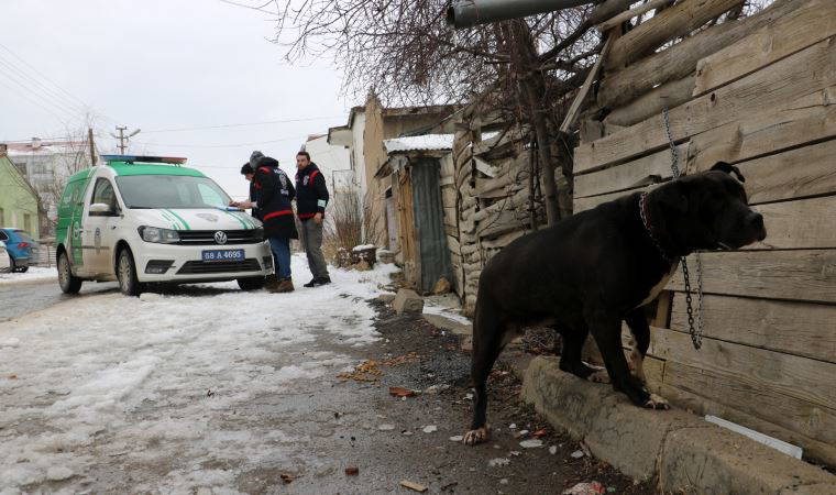 Pitbull ile sokağa çıkınca yaklaşık 15 bin TL para cezası aldı