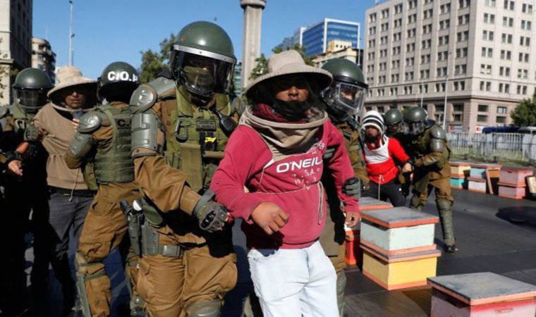 Şili’de arıcılar hükümeti protesto etti, yedi polisi arı soktu