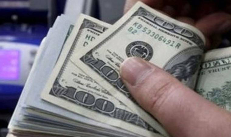Şirketlerin döviz mevduatlarında rekor düşüş