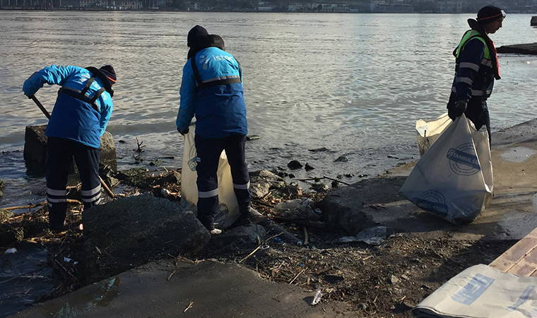 Haliç'teki renk değişikliğinin sebebi belli oldu