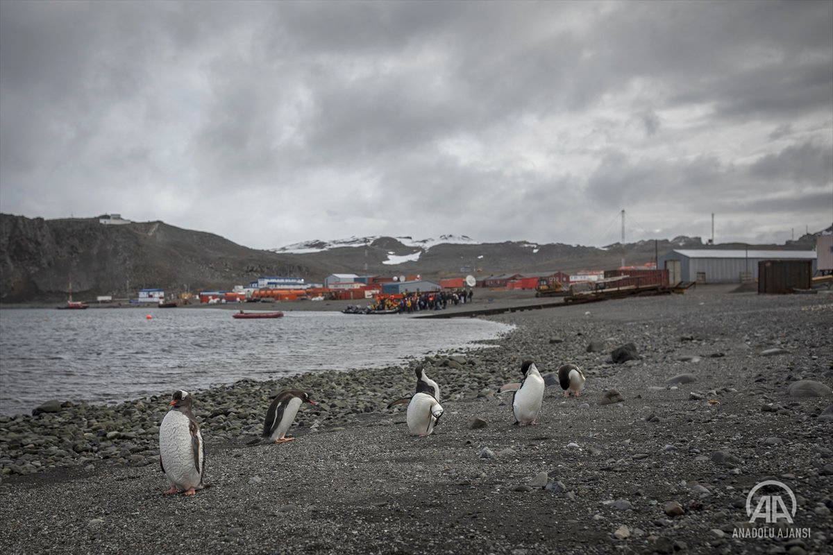 Antarktika Bilim Seferi Ekibi beyaz kıtaya ulaştı