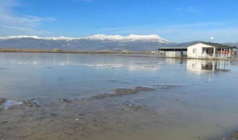 Bucak'ta binlerce dekar ekili alan su altında kaldı