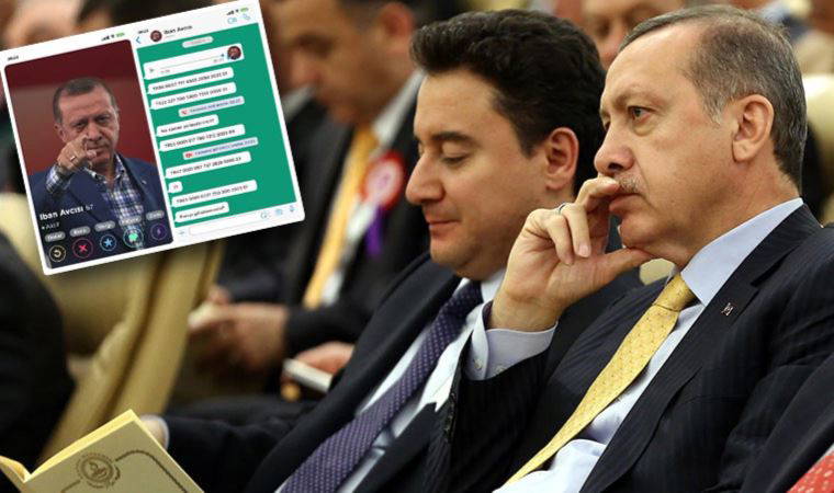 DEVA Partisi'nden Erdoğan'ı kızdıracak video