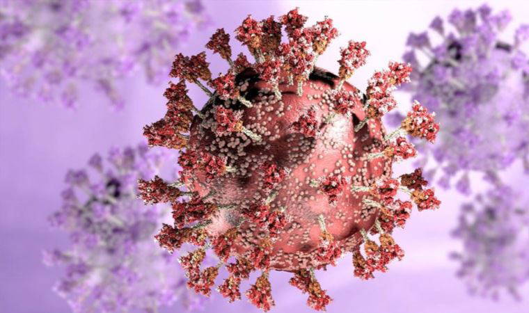 Bilim insanlarından 'BA.2' uyarısı: Omicron'dan daha ciddi hastalığa neden oluyor