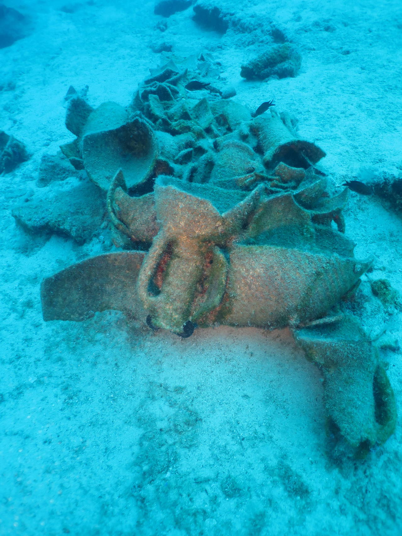 Fethiye'de Roma Dönemi'ne ait 'son Rodos batığı' bulundu