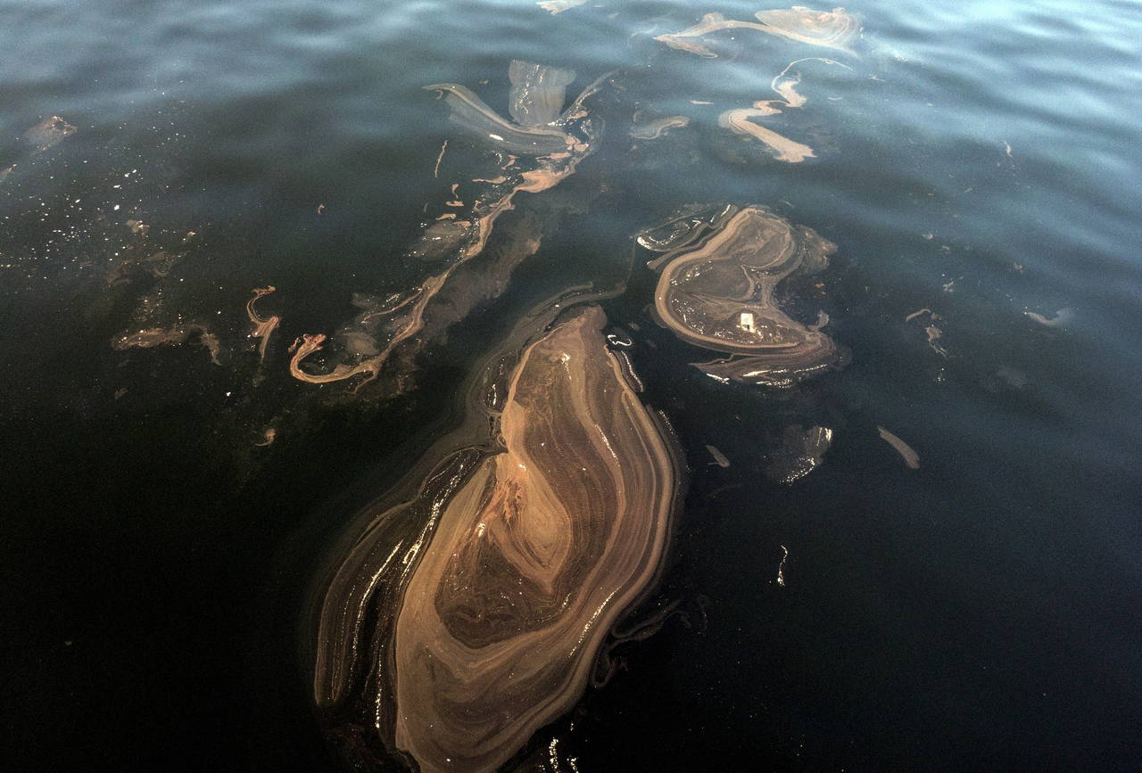 İstanbul’da müsilaj yeniden görüldü