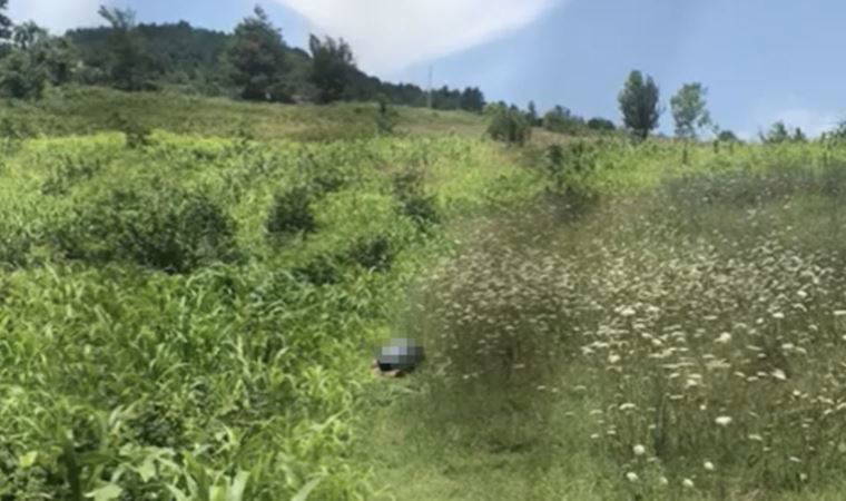 Köpeği cinsel saldırı sandığı yargılanıyor: Avukatı 'iktidarsızlık' tespiti istedi