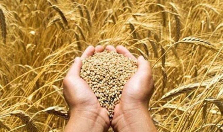 Gıda Mühendisleri Odası'ndan 'Rusya-Ukrayna krizi' uyarısı: Fiyat artışı olarak geri dönecek