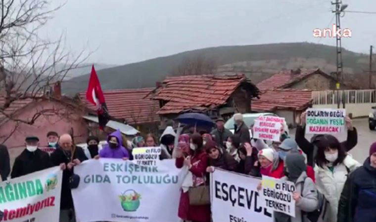 Eğrigöz Dağı'nda açılacak altın madenine tepki: 'Burayı harap etmek istiyorlar'